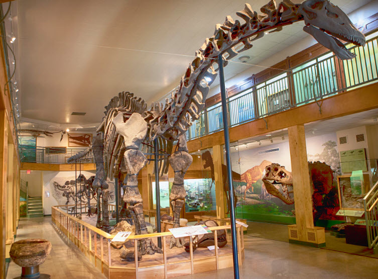 Geological Museum, Wyoming, USA (Natural History Museum) | USAvora