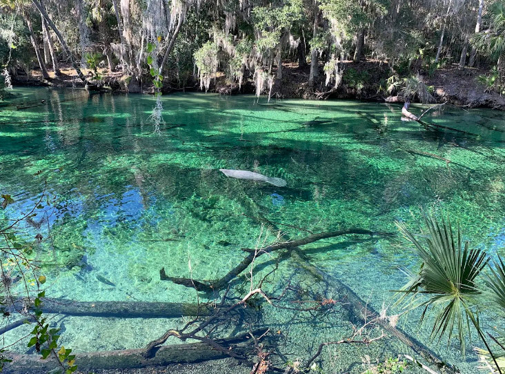 Blue Spring State Park, Florida, USA (Park) | USAvora