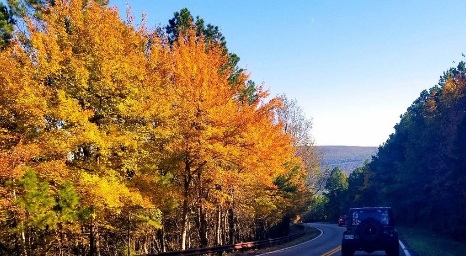 Talimena National Scenic Byway, Oklahoma, USA (Scenic Point) | USAvora